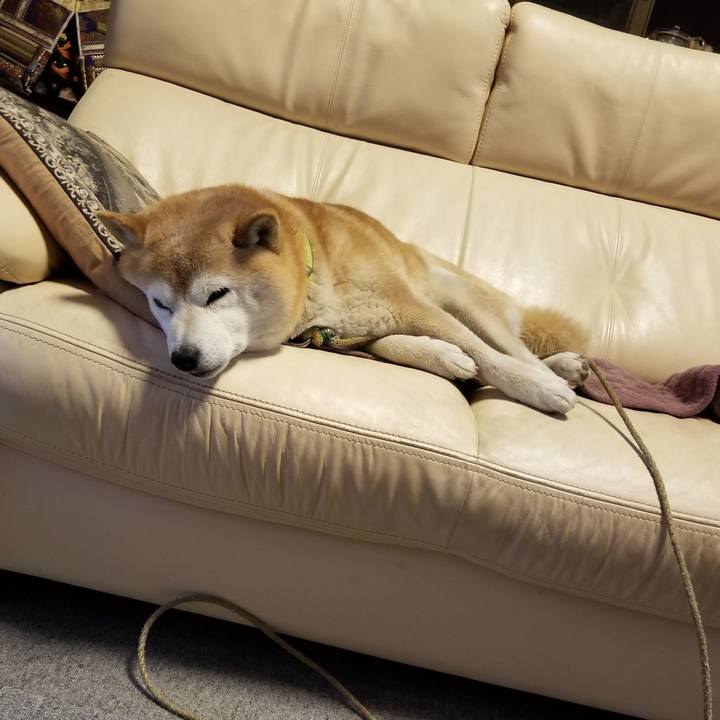 340e204d ced5 4f4e adf9 2f98b8790835 1681127447222