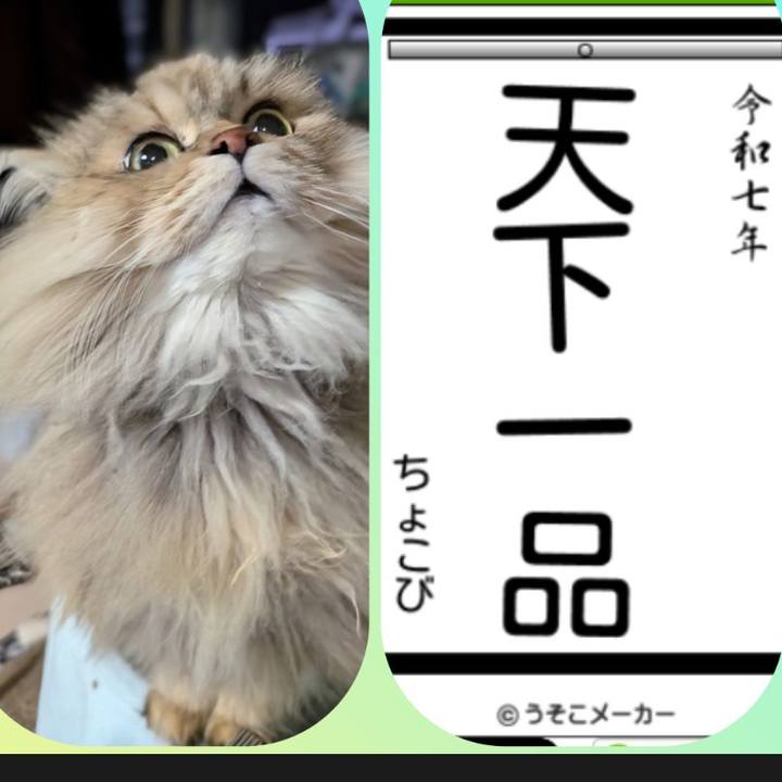 340e30df 5bb1 4baa a444 4980b5b06dff 1736138025390