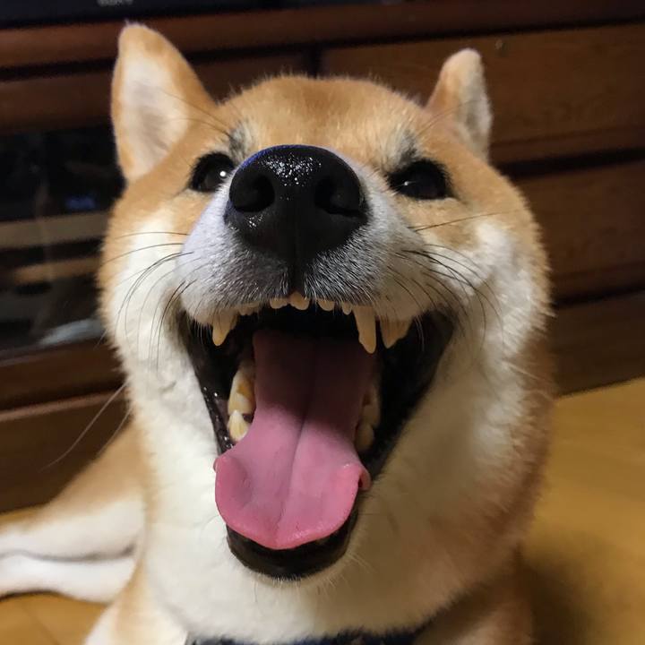 340e6322 16d8 4e83 8f10 e63e7353c461 1601642038101