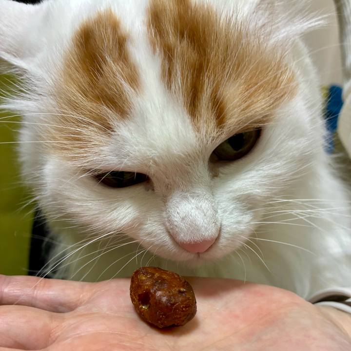 340e954f cf2f 460c b9cc 4c131192f191 1766742911278