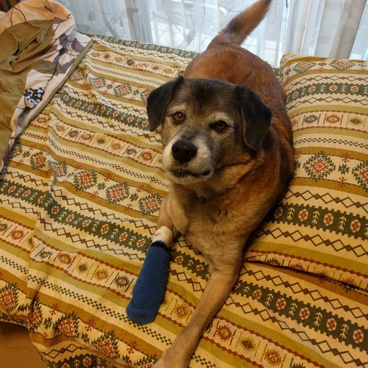 340e95ac 2a5b 489b b22f 1714ca749aca 1550558744041