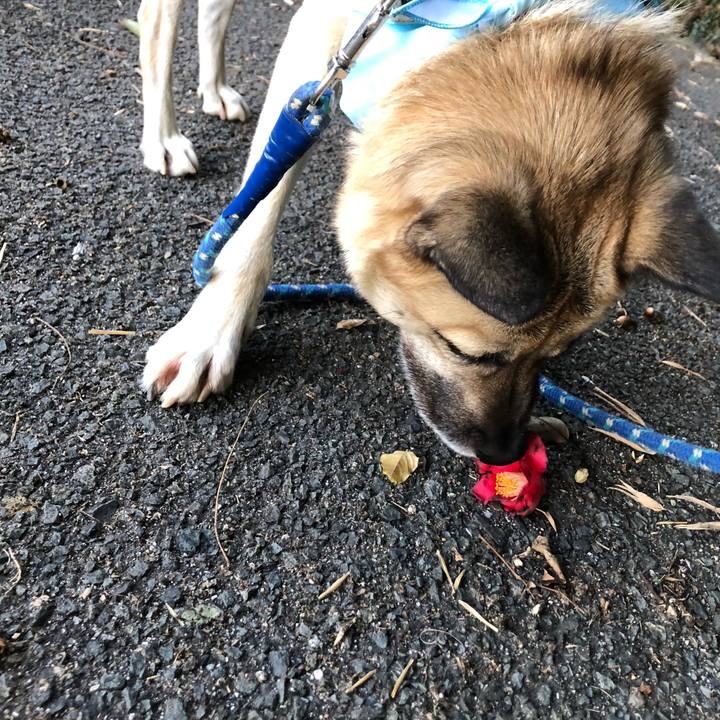 340e99f9 ba10 443a a98b 5e4821ac6715 1578140821623