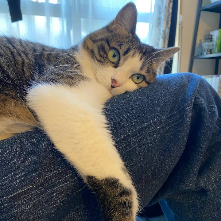 340e9a51 da71 41c7 a2d3 138bd2fb25ac 1644205224196