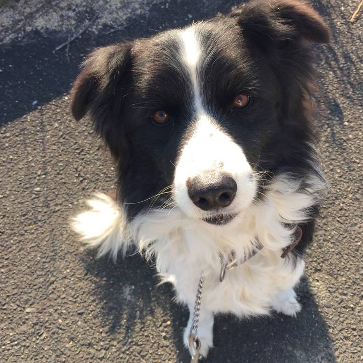 340ea60c 0569 47e0 a762 340803263bc3 1547857705253