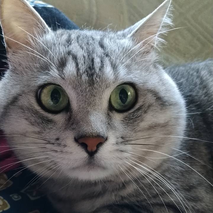 340ec28b 9cba 43e5 8d44 038f167c5d66 1589374812068