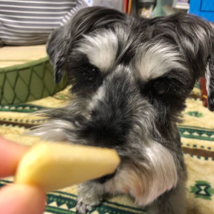 340ec28c ba8d 4199 bb34 780430918c74 1652097123288