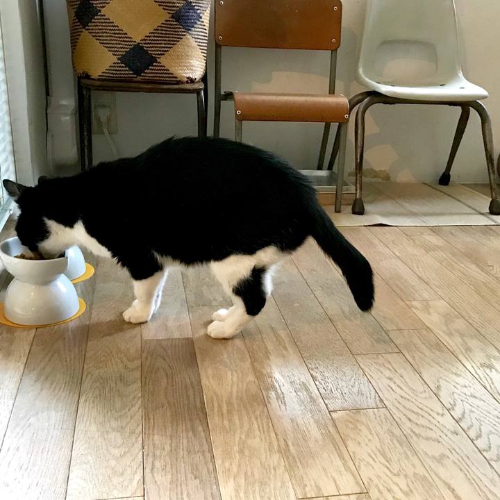 340edcd9 3ec9 44a0 9c08 6c23000ee1ff 1547777005187