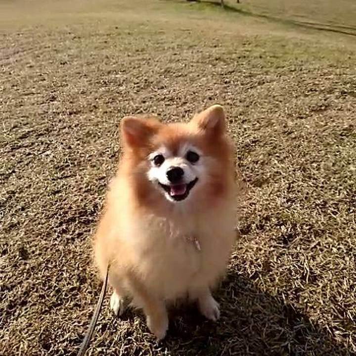 340ee8d5 c88f 4ff9 b1b8 01330c2ebbe2 1511848657217