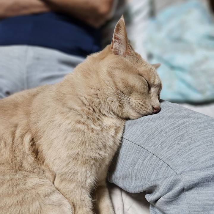 340f0efc 06eb 418c b8f6 7d80a1940a3e 1720265438360