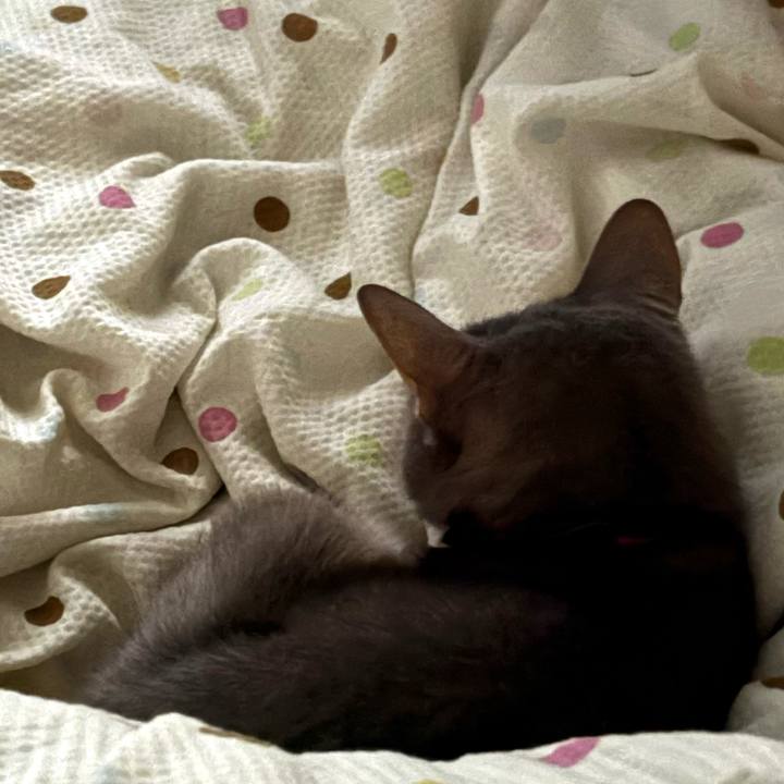 340f110c 4605 405d 9a7f c2880f890374 1763511991967