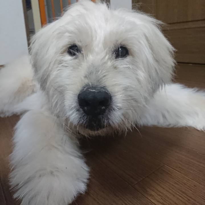 340f3a5b 6628 48a6 af4d 6d62c5e59536 1634130480754