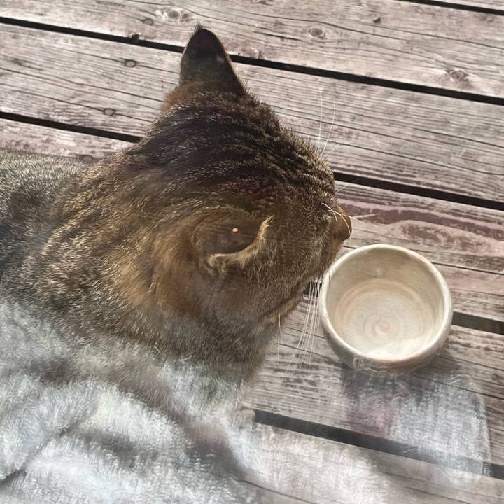 340f42b2 1357 464a 95bc 6d163c992c77 1745936277262