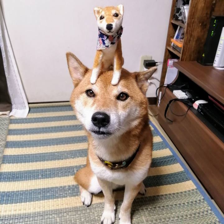 340f454c 7a08 464f 8f06 53ef0a6ca08a 1600078952163