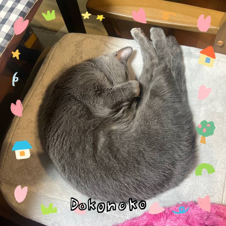 340f5770 4c0c 4007 a33d 3eb24bbda5be 1741437891072