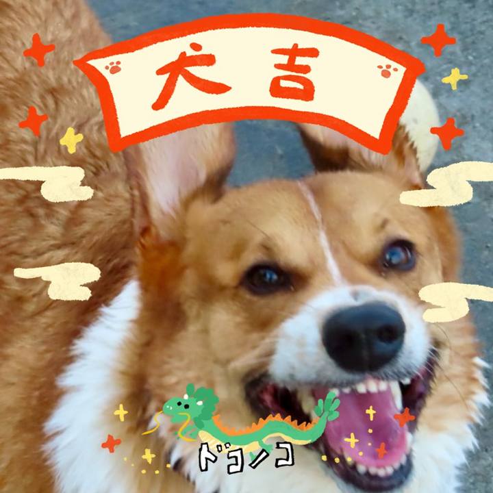 340f712a 3bfc 44d9 ab45 c58c4b5275e1 1704076512795