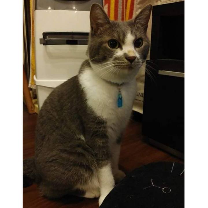 340fa0e2 e761 4542 9da8 56682b98de31 1626087066196