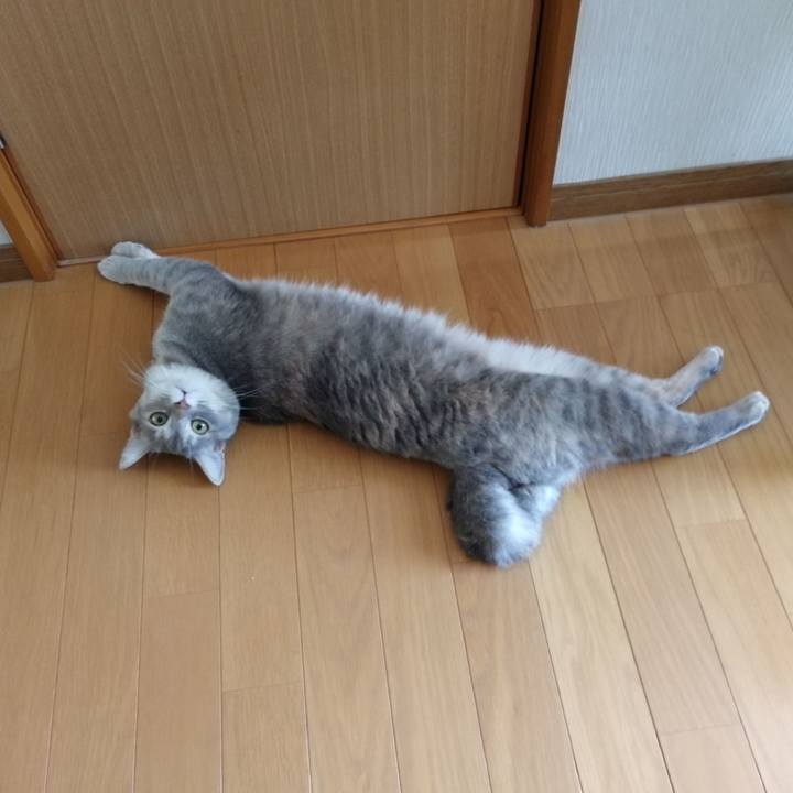 341001ab f8ed 4470 89e9 520fd24e9cdc 1531361369842