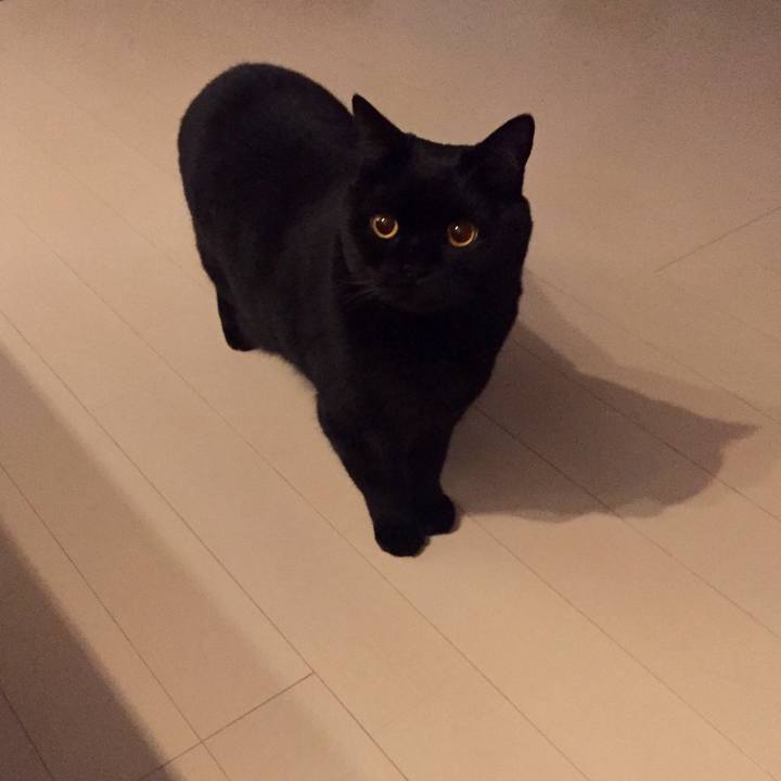 34101620 d9f1 4ac2 ab9a 09c2d980a1eb 1579790022153