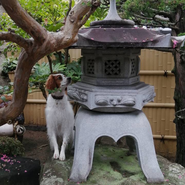 34103f57 9420 42b9 b267 02fd0d16da4f 1598574342005