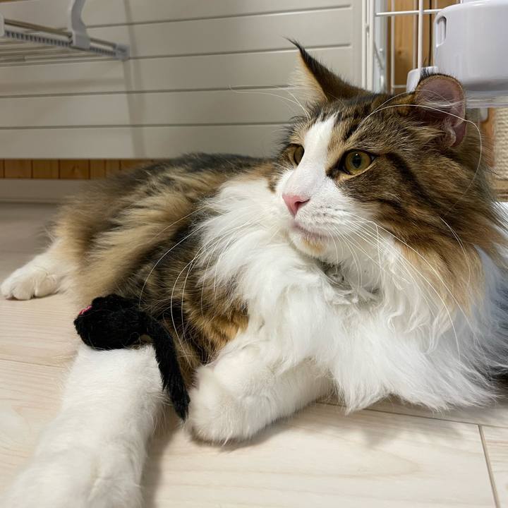 3410521a 7f52 41f3 966d b592827f11ac 1642713453149