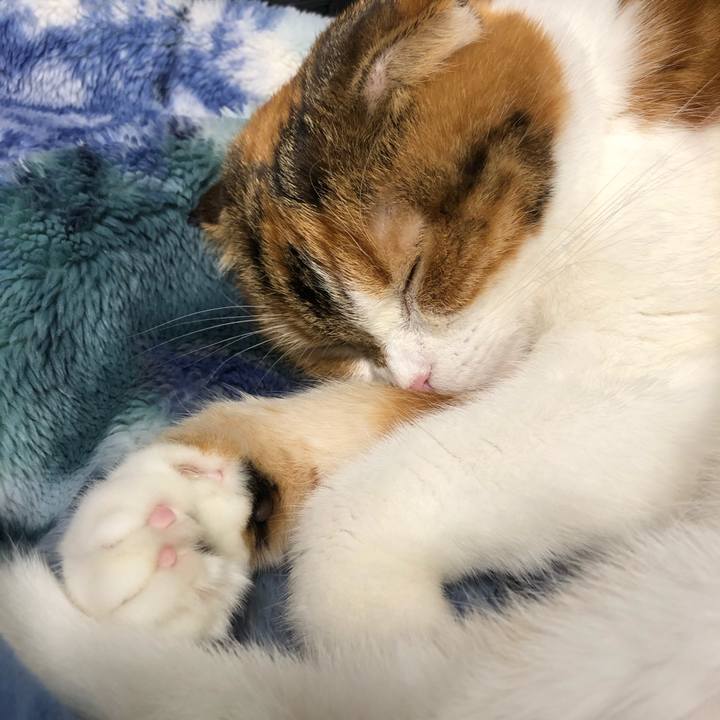 34105643 311f 4b04 a304 6e03f7c8bf2e 1576765412437