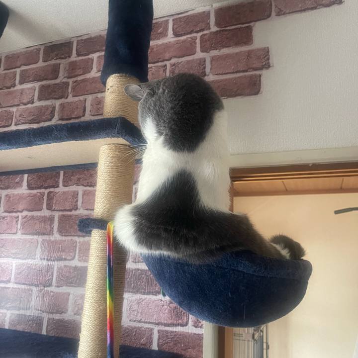 34107c64 1646 480d 8b03 8baf9f5f0cb2 1712181418860