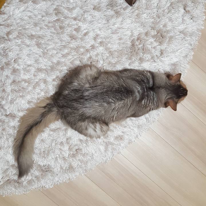 3410819f c174 4536 b51b 362defe64b29 1586754225537