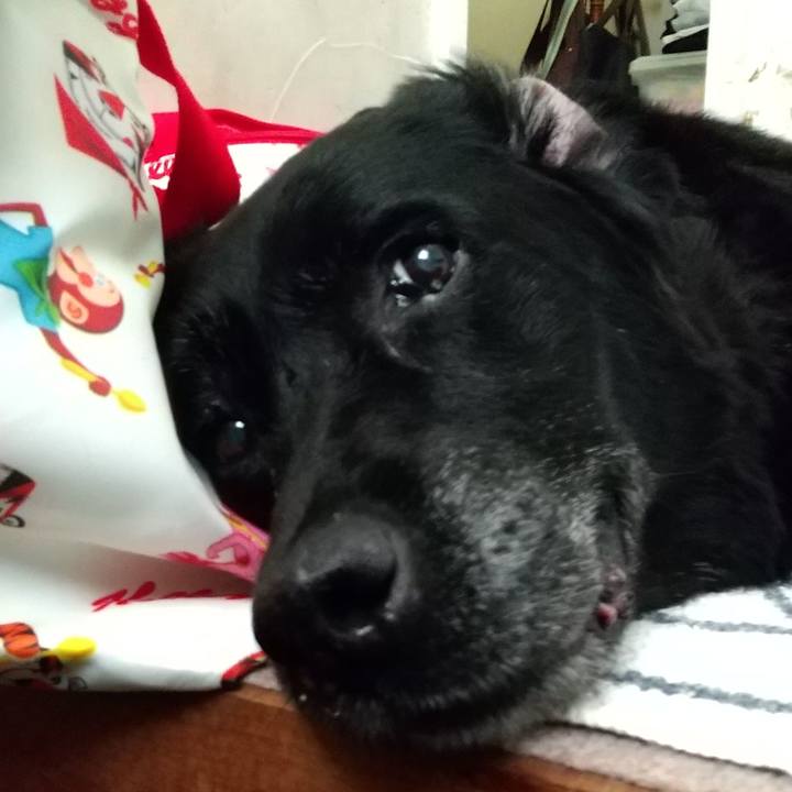 3410aa21 6405 4aa9 bdba 0152b44d5522 1693726665165