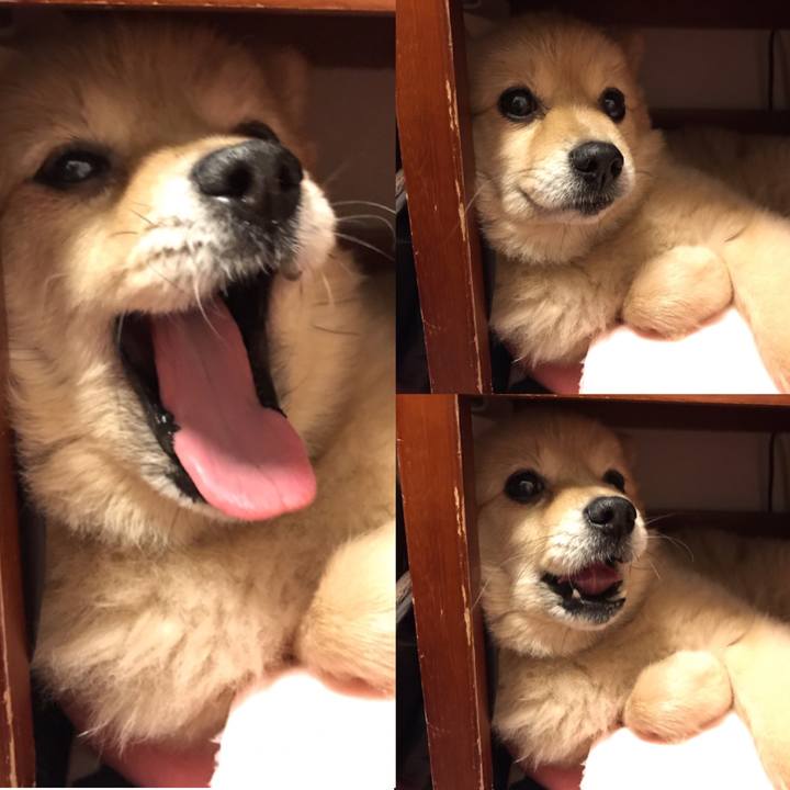 3410c76b d407 4926 99cb f747407d8443 1584110473391