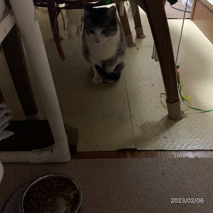 3410d017 13af 4075 8ce7 73ce3a937cbe 1675634737066