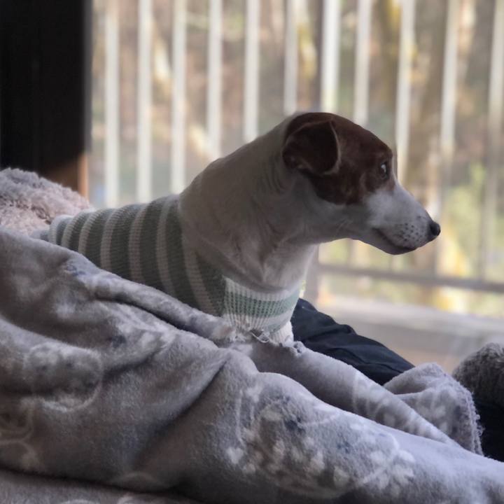 3410f332 5fa3 449c ac79 a2ddd906ccea 1705360238449