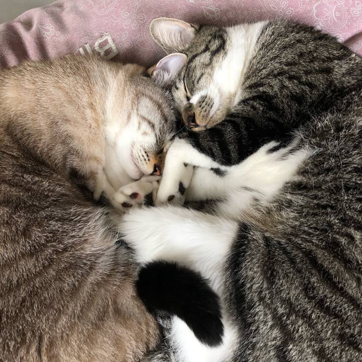 3411472b 177f 4802 8b4e e6d749f4ff9d 1665147711839