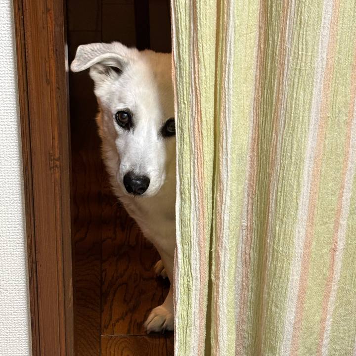 34116792 2dc5 477c 8cf2 5c70c375adbd 1765719037868