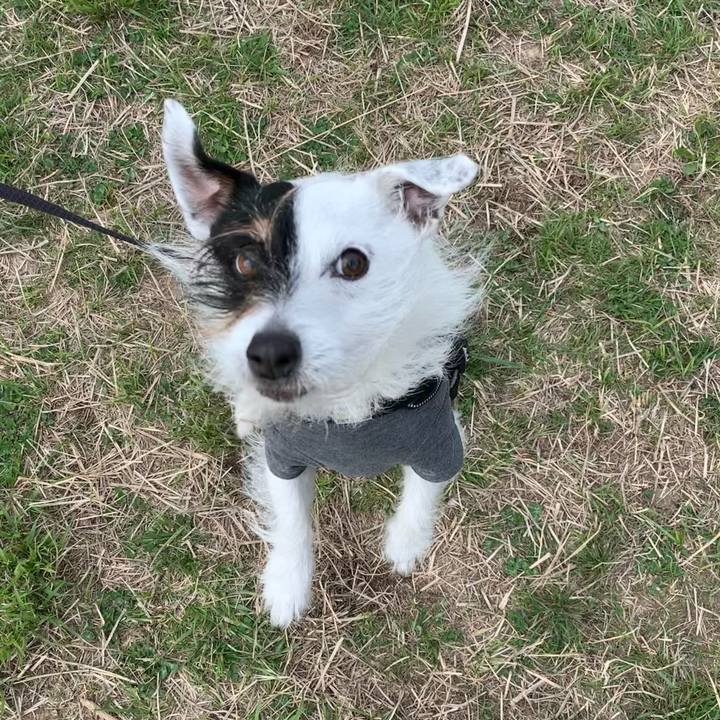 3411b5f7 0120 4018 b98f f8f736ec6a5a 1680396167459