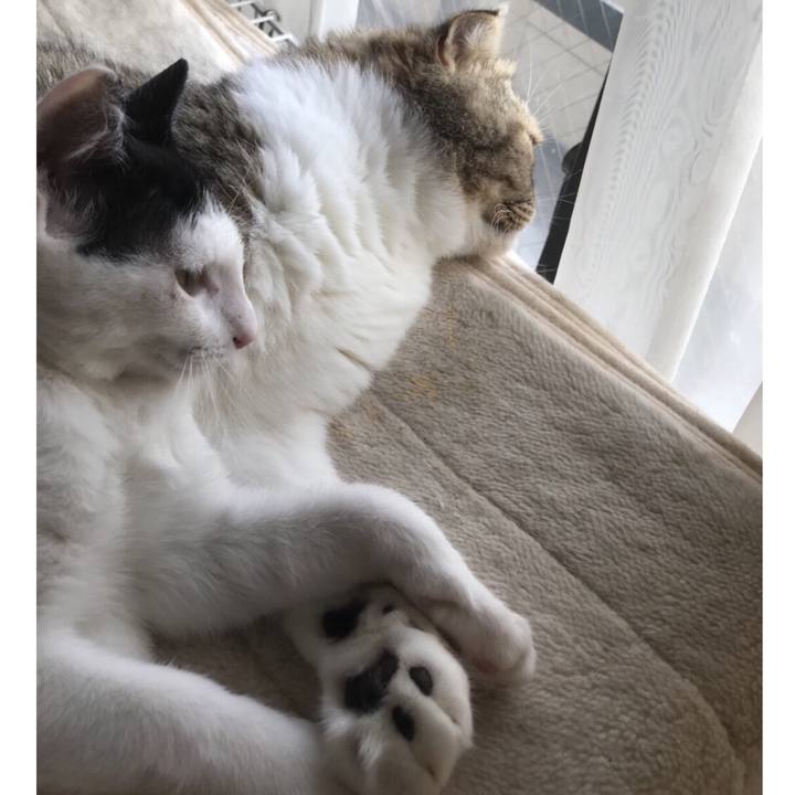 3411d6a8 f1a7 48d2 b41d 045a10394dd0 1535003557437