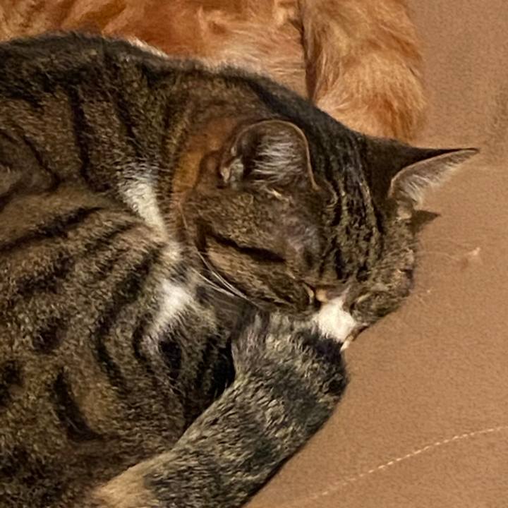 3411eac8 9bca 4813 a713 67c26fc06a18 1584562629910