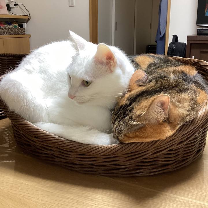 34120830 e3c3 477f ae21 31675bd31662 1727132885203