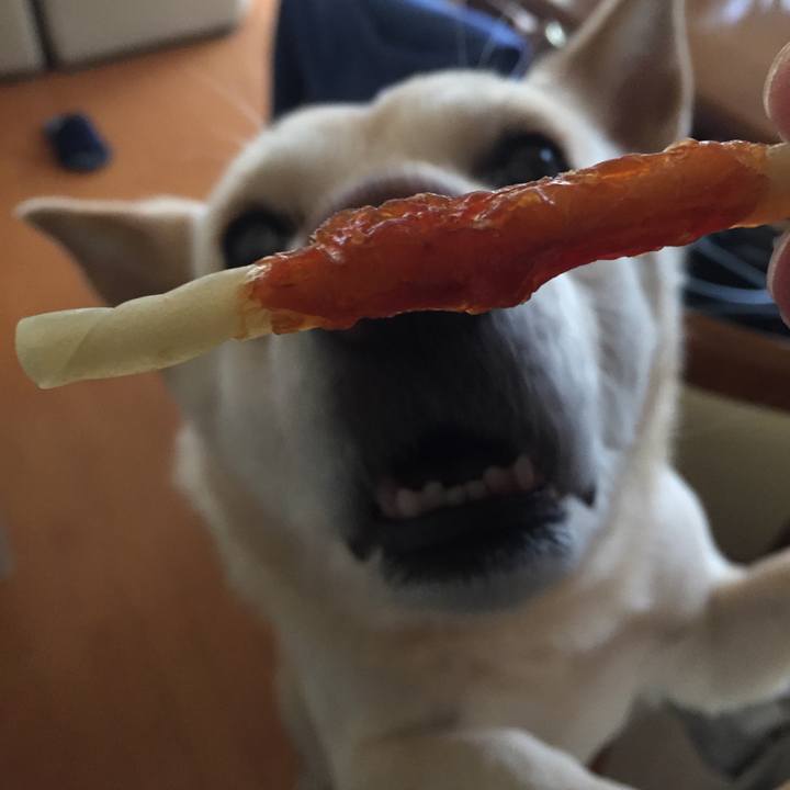 34126049 613f 40d6 948a 487320df03ba 1519273918503