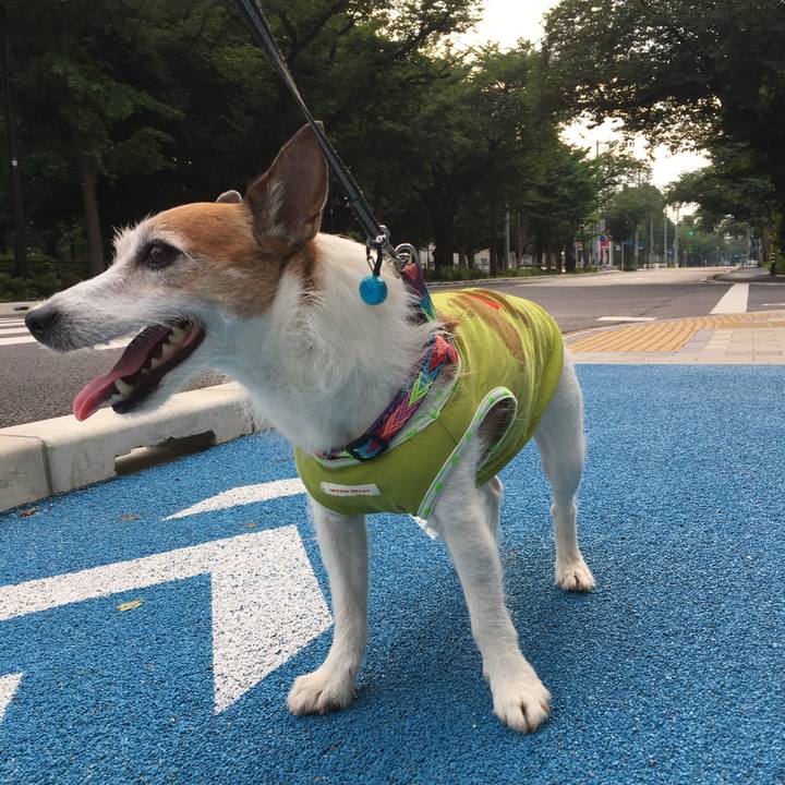 341266c3 80ff 4331 8b4c dc58f1cfcd79 1656802176782