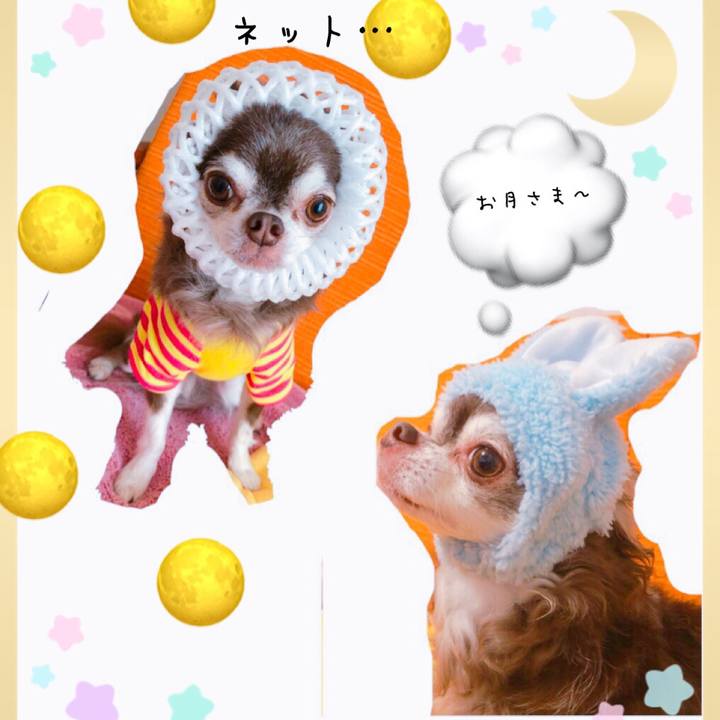 34126c9e a37c 4348 b3aa 06e737076f65 1601561259159