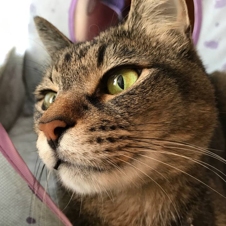 34128310 e17e 4e7d 92f6 20944c99eb56 1524123542859