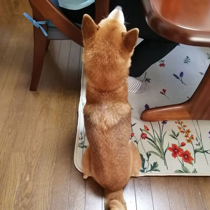 341329e9 0cfe 4851 a0d8 d726213ae821 1659086285493