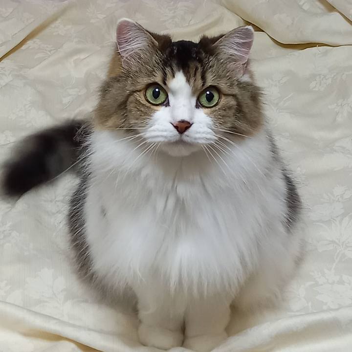 34137c9b 6f09 4663 a444 89d7402d1cfb 1637064137447