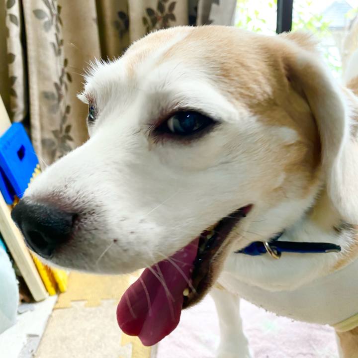 3413acaf 4f51 4b06 ae14 d53f7e01efe1 1621828715940