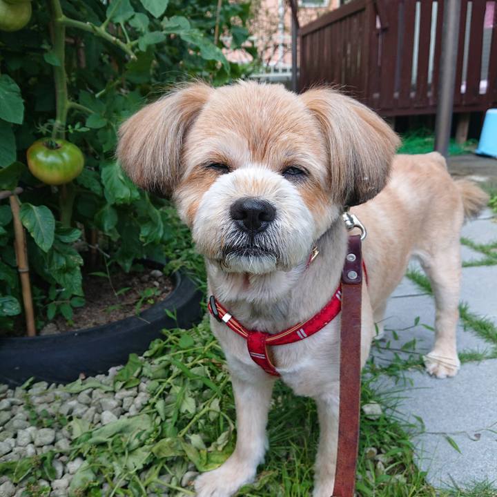 3413be6b 4f04 489d a9ce 3ed90ddaf4ff 1593557538066