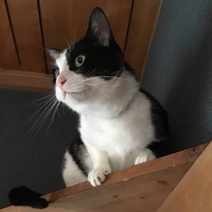 3413d15e e6be 4c34 8201 0dd73cde5c89 1716096310435