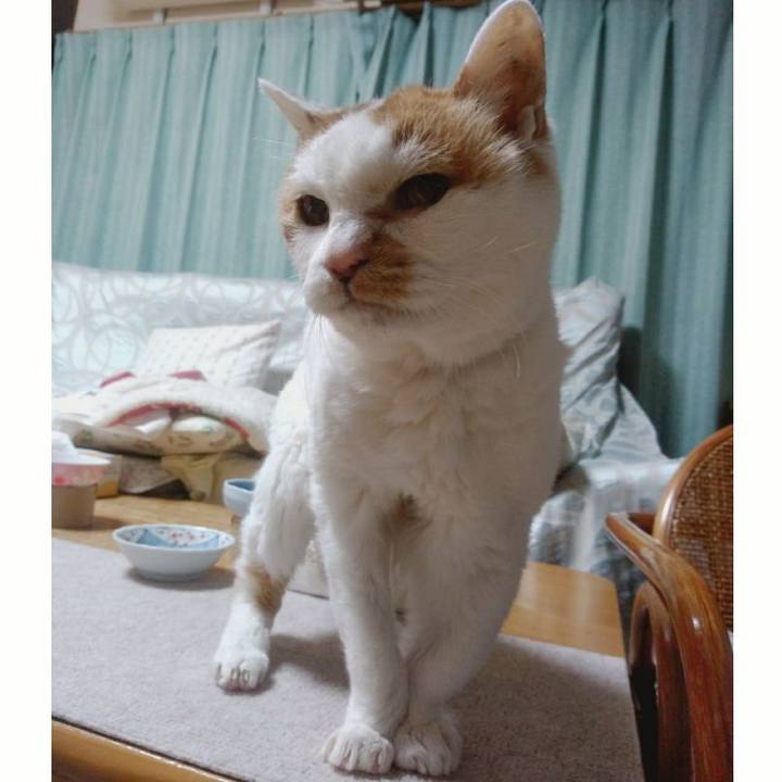 341406e1 fe0d 44e3 a95c dbd2a36d8a03 1580214631572