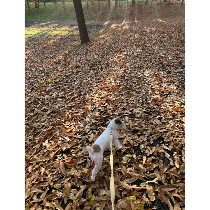 34142910 99cb 43cc 8630 3fa0864dedbf 1576113952520