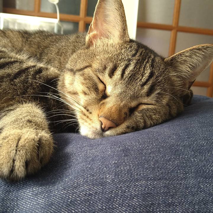 34144892 5b69 4043 82fb 2a6c4538cd04 1687589052191