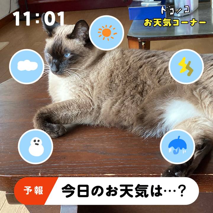 34146bfb 303f 4393 8867 0b8ca2fdcafd 1781818113491